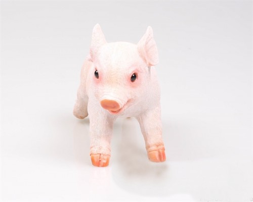 Levensechte beelden Dierenbeelden levensecht Biggetje rennend 22,5x8,5x14 cm  (3644)