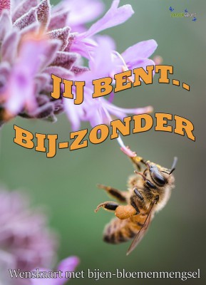 Iemand verrassen Bij-kletsen met bijenbloemen Jij bent bij-zonder  (HTK103)