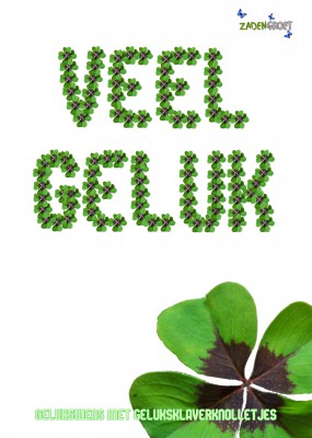 Plantkadootjes Veel geluk   geluksklavertje 4 Veel geluk + geluksklavertje 4  (HTK106)