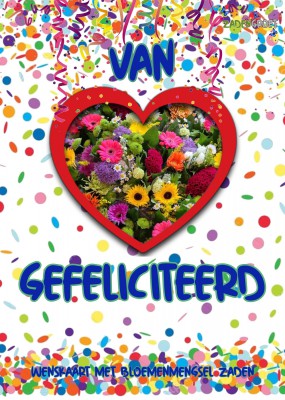 Plantkadootjes Amazing Greets With Love Gefeliciteerd + bloemenzaden  (HTK111)