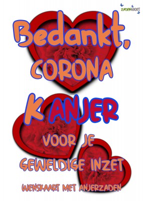 Plantkadootjes Bedankt Coronakanjer met anjerzaden Bedankt Coronakanjer met anjerzaden  (HTK112)