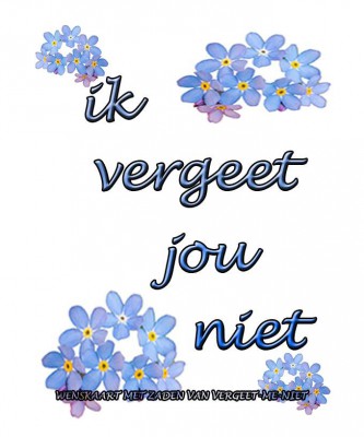 Plantkadootjes Gefeliciteerd geboorte dochter Ik vergeet jou niet  (HTK105)