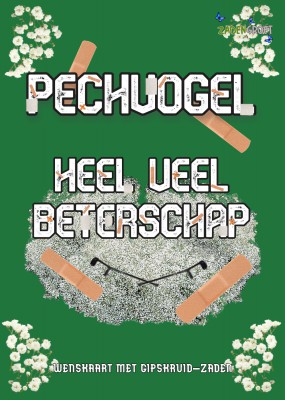 Plantkadootjes Gefeliciteerd met jullie huwelijk Pechvogel Beterschap met gipskruid  (HTK116)