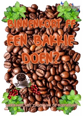 Plantkadootjes Amazing Greets Fijne Feestdagen FF Bakkie doen met koffieplantzaden  (HTK119)