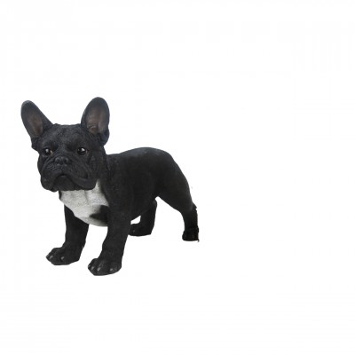 Levensechte beelden Dierenbeelden levensecht Levensechte Duif WIT 19x20x11 Levensechte Franse bulldog zwart-grijs  (37000224)