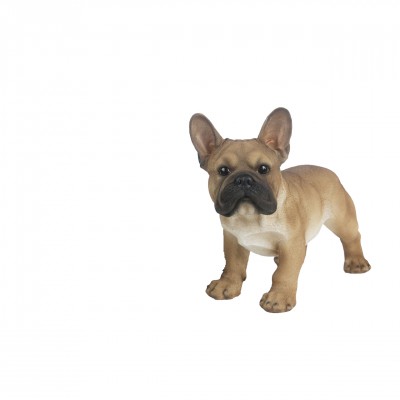 Metalen plaat - Franse Bulldog