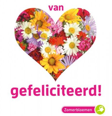 Zaden online Seeds & Greets Van Harte Gefeliciteerd Van Harte Gefeliciteerd  (TP700100)