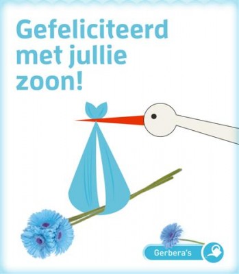 Zaden online Seeds & Greets Gefeliciteerd Geboorte zoon Gefeliciteerd Geboorte zoon  (TP700108)