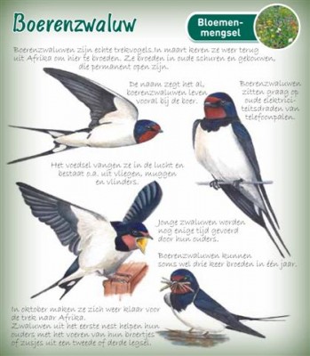 Dieren in de tuin Vogels voeren Educatief Boerenzwaluw (TP700146) Dieren in de tuin Vogels voeren Educatief Boerenzwaluw (TP700146)