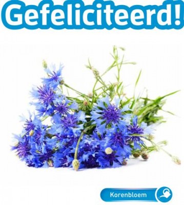 Plantkadootjes Korenbloem Van Harte Gefeliciteerd (TP700166) Plantkadootjes Korenbloem Van Harte Gefeliciteerd (TP700166)