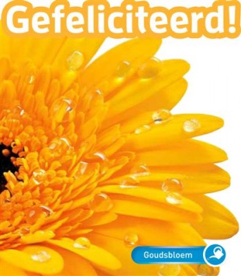 Plantkadootjes Goudsbloem Van Harte Gefeliciteerd (TP700168) Plantkadootjes Goudsbloem Van Harte Gefeliciteerd (TP700168)