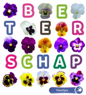 Zaden online Seeds & Greets Viooltjes Beterschap Viooltjes Beterschap  (TP700170)