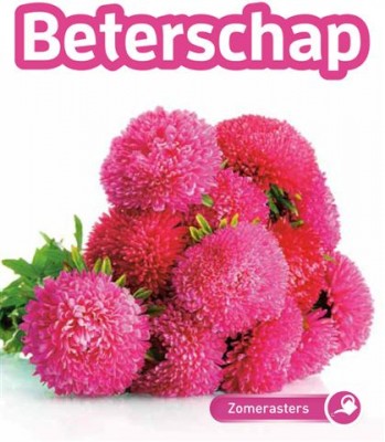 Zaden online Seeds & Greets Zomeraster Beterschap Zomeraster Beterschap  (TP700172)