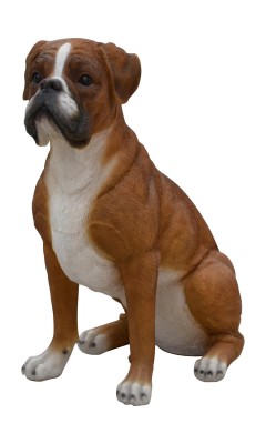 Levensechte beelden Dierenbeelden levensecht Boxer Groot Stone Lite 47x41x24 Boxer Groot Stone Lite 47x41x24  (3079L Boxer groot)