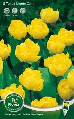 Bloembollen online Tulpenbollen Dubbele vroege tulpen tulp Dubbel Vroeg Yellow Pomponette per 8 tulp Dubbel Vroeg Yellow Pomponette per 8  (a5251)