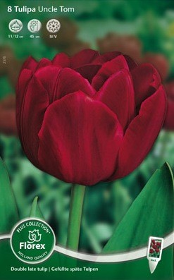 Bloembollen online Tulpenbollen Dubbele late tulpen tulp Dubbel Laat Uncle Tom per 8 tulp Dubbel Laat Uncle Tom per 8  (a5245)