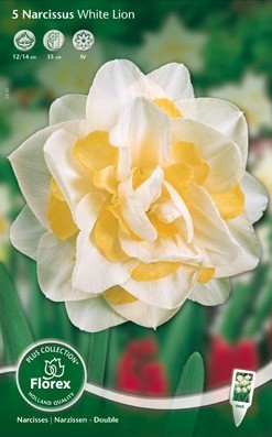 Bloembollen online Narcis narcis dubbel White Lion per 5 narcis dubbel White Lion per 5 (a5386) Bloembollen online Narcis narcis dubbel White Lion per 5 narcis dubbel White Lion per 5 (a5386)
