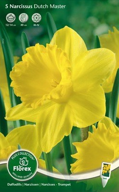 Bloembollen online Narcis narcis trompet Dutch Master geel per 5 narcis trompet Dutch Master geel per 5 (a5189) Bloembollen online Narcis narcis trompet Dutch Master geel per 5 narcis trompet Dutch Master geel per 5 (a5189)