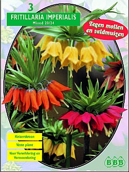 Bloembollen online Keizerskroon Keizerskroon imp. Mix per 3 Keizerskroon imp. Mix per 3 (a5130) Bloembollen online Keizerskroon Keizerskroon imp. Mix per 3 Keizerskroon imp. Mix per 3 (a5130)