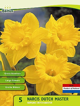 Bloembollen online Narcis narcis trompet Dutch Master geel narcis trompet Dutch Master geel  (a5391)