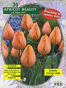 Bloembollen online Tulpenbollen Enkele vroege tulpen tulp enkel vroeg Apricot Beauty N per 30 tulp enkel vroeg Apricot Beauty N per 30 (a5259) Bloembollen online Tulpenbollen Enkele vroege tulpen tulp enkel vroeg Apricot Beauty N per 30 tulp enkel vroeg Apricot Beauty N per 30 (a5259)