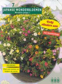 Zomerbollen en vaste planten Diverse soorten Japanse Wonderbloem per 7 Japanse Wonderbloem per 7 (a6283) Zomerbollen en vaste planten Diverse soorten Japanse Wonderbloem per 7 Japanse Wonderbloem per 7 (a6283)