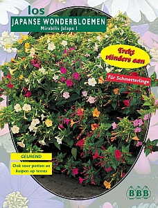 Zomerbollen en vaste planten Diverse soorten Japanse Wonderbloem Japanse Wonderbloem (a6284) Zomerbollen en vaste planten Diverse soorten Japanse Wonderbloem Japanse Wonderbloem (a6284)