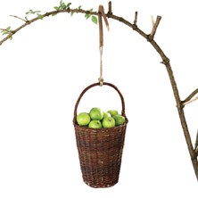 Tuingereedschappen Gereedschap voor tuinonderhoud Hoendrik of Haandrik Hoendrik of Haandrik (MW4) Tuingereedschappen Gereedschap voor tuinonderhoud Hoendrik of Haandrik Hoendrik of Haandrik (MW4)