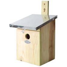 Dieren in de tuin Nestkasten en vogelhuisjes Nestkast koolmees Nestkast koolmees (NKK) Dieren in de tuin Nestkasten en vogelhuisjes Nestkast koolmees Nestkast koolmees (NKK)