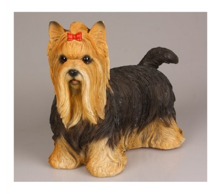 Levensechte beelden Dierenbeelden levensecht Kip zit bruin klein 15x10 Yorkshire terrier Stone Lite 30x15x25  (MI3076)