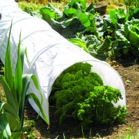 Kweektunnels Folietunnels