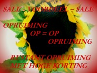 Opruiming